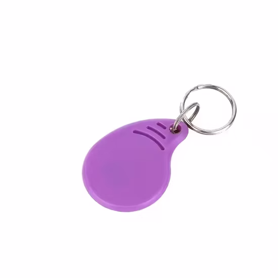 Preço barato de fábrica ABS Proximidade 125kHz RFID Keyfob ID Token Tag de chave